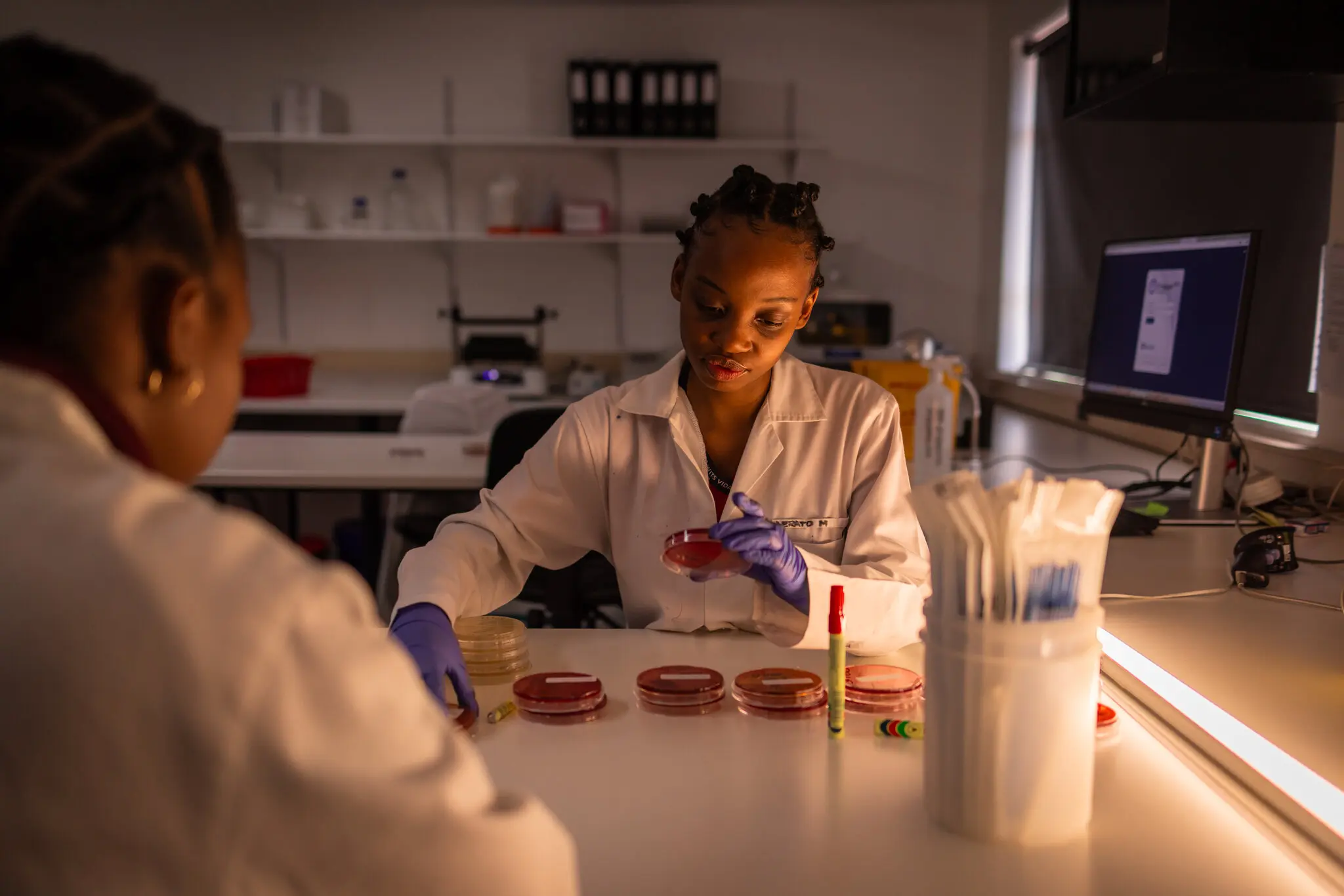 Дослідники вивчають стійкість до антимікробних препаратів у лабораторії в Совето.